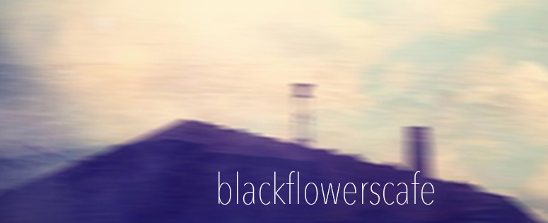 Black Flowers Café Release New Single, ‘be/polar’