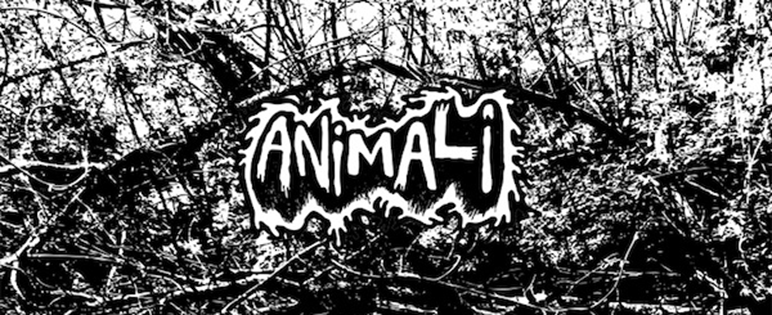 Single: Animali – The Alchemists