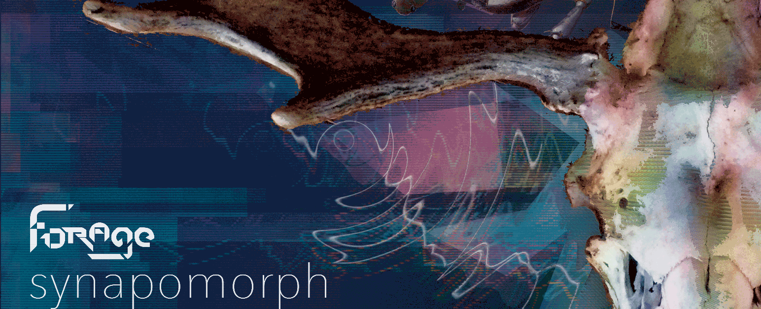 Listen: Forage – Synapomorph