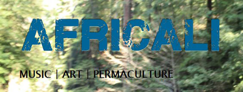 Single: Africali – You Don’t Love Him Quite Like You Love Me